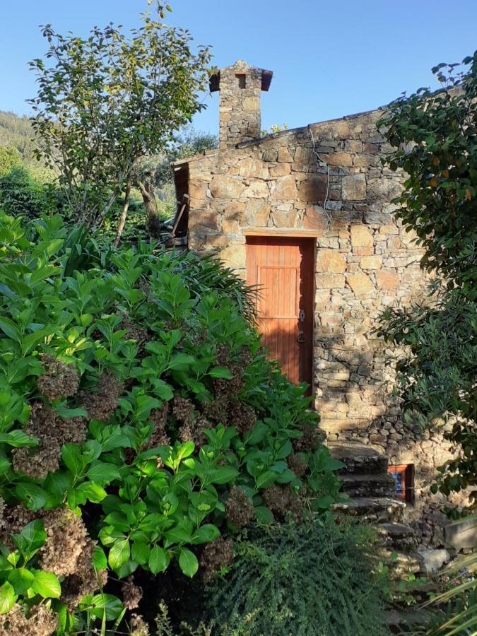 Вілла Casa Do Tojo E Rosmaninho Феррейра-ду-Зезере Екстер'єр фото