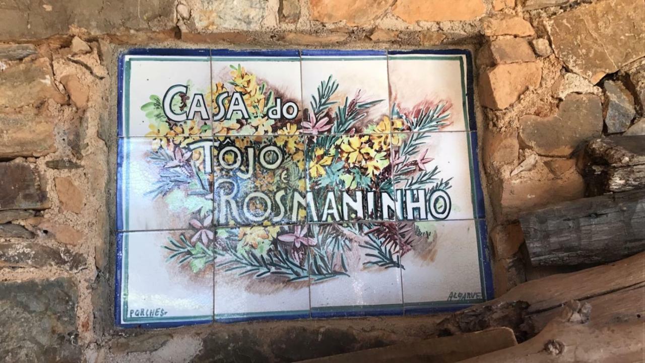 Вілла Casa Do Tojo E Rosmaninho Феррейра-ду-Зезере Екстер'єр фото